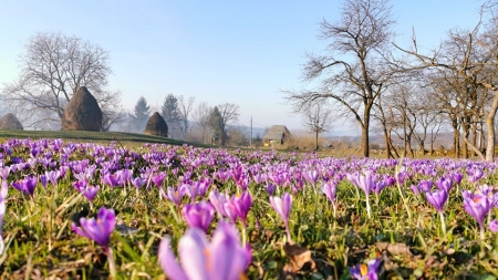 Frumusețile Maramureșului: Un colț de Rai din satul Breb; Au salvat șapte case tradiționale, iar în vreme de pandemie, au realizat un circuit virtual (VIDEO ȘI GALERIE FOTO)