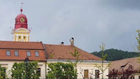 Vremea exactă în Maramureș, sâmbătă, 25 iulie