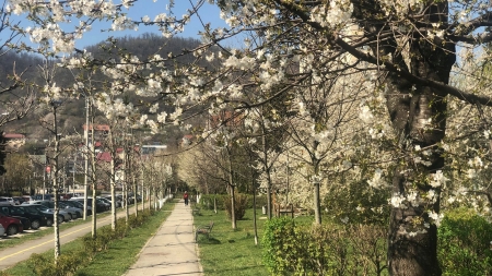 Vremea exactă în Maramureș, joi, 7 mai