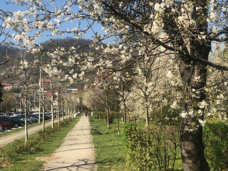 Vremea exactă în Maramureș, joi, 7 mai