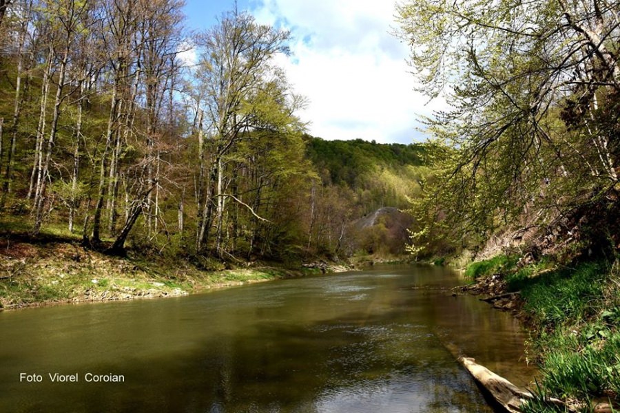 Vești bune: A fost marcat primul traseu turistic către Cheile Lăpușului; Imagini spectaculoase cu o minunăție a naturii din Maramureș (GALERIE FOTO)