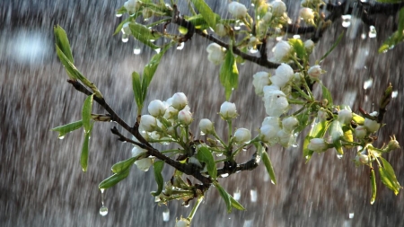 Vremea exactă în Maramureș, miercuri, 14 aprilie