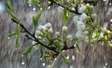 Prognoza meteo Maramureș, luni 30 martie 2026