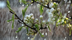 Prognoza meteo Maramureș, luni 30 martie 2026