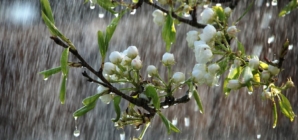 Prognoza meteo Maramureș, luni 30 martie 2026