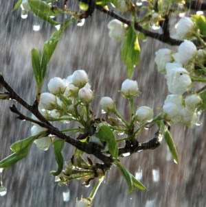 Prognoza meteo Maramureș, luni 30 martie 2026