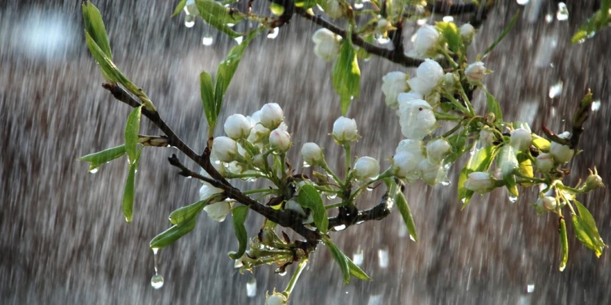 Prognoza meteo Maramureș, luni 30 martie 2026
