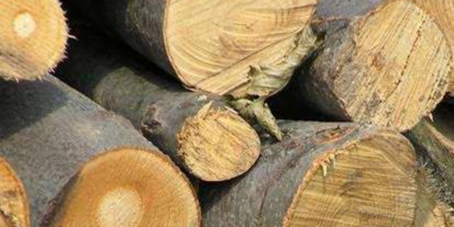 Material lemnos confiscat în Cernești
