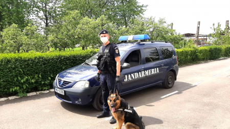 Situația în Maramureș: Numărul persoanelor aflate în izolare a crescut mult în ultimele ore; Câți maramureșeni au revenit în țară și câți sunt în carantină