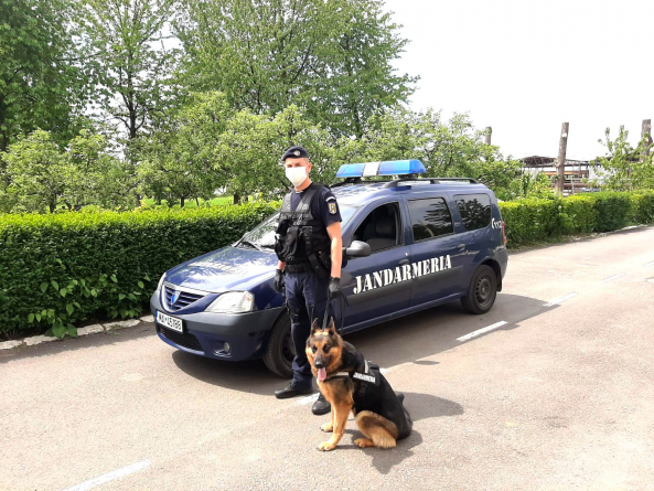 Situația în Maramureș: Scădere uriașă a sancțiunilor în județ, în ultimele 24 de ore; A crescut numărul carantinaților, a scăzut puțin cel al persoanelor în izolare