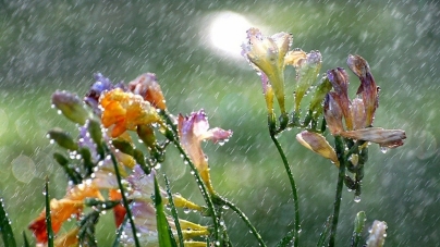 Vine vreme capricioasă!: În Maramureș, început de aprilie cu atenționări de la meteorologi și hidrologi. Fenomene vizate, ploi, vânt și instabilitate