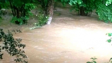 Încă un bilanț: Ce prăpăd au mai făcut furtunile în Maramureș (FOTO)