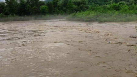 Aleargă din calea armelor: În județul Maramureș în total 19 bărbați au cerut formă de protecție, în interval de doar 24 ore căutând adăpostul, în țara noastră!