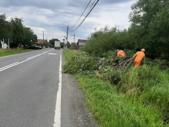 Maramureș: Lucrări de cosire a vegetației pe mai multe tronsoane din DN 1C și DN 19 (GALERIE FOTO)