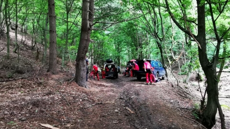 Salvamontiștii în acțiune: Un bărbat în vârstă de 73 de ani s-a rătăcit în zona Ilba, în timp ce se afla la cules de ciuperci (GALERIE FOTO)