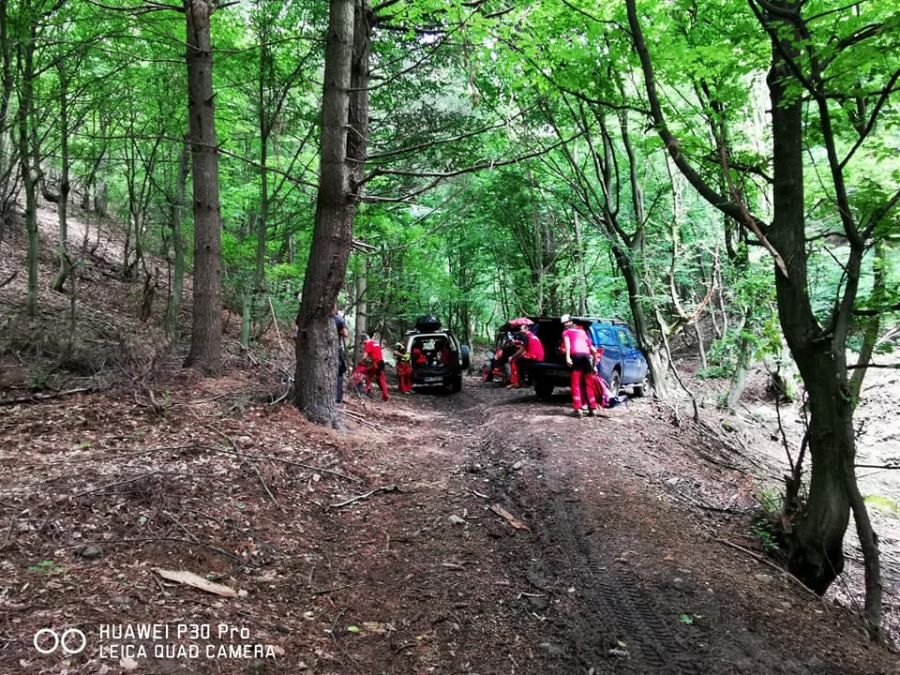 Salvamontiștii în acțiune: Un bărbat în vârstă de 73 de ani s-a rătăcit în zona Ilba, în timp ce se afla la cules de ciuperci (GALERIE FOTO)
