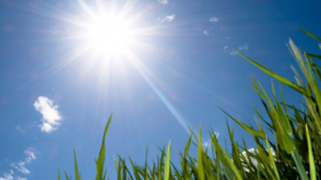 Vremea exactă în Maramureș, marți, 29 iunie