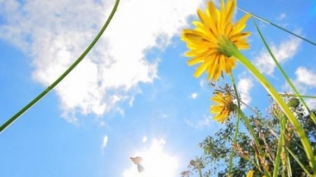 Vremea exactă în Maramureș, miercuri, 18 august