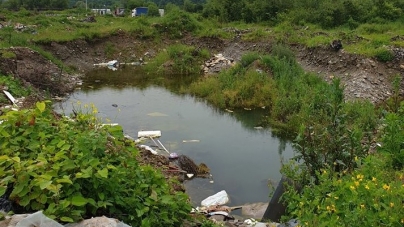 Controale: Curățenia localităților și colectarea selectivă, verificate în Maramureș de Garda de Mediu. Au fost aplicate și primele sancțiuni în județ (FOTO)