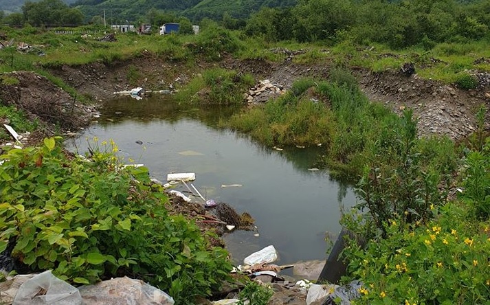 Controale: Curățenia localităților și colectarea selectivă, verificate în Maramureș de Garda de Mediu. Au fost aplicate și primele sancțiuni în județ (FOTO)