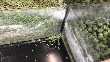 Controale de sezon: Nereguli în Maramureș la comercializarea alimentelor congelate, inclusiv a înghețatei. Ce au găsit, concret, autoritățile