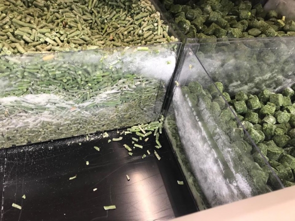 Controale de sezon: Nereguli în Maramureș la comercializarea alimentelor congelate, inclusiv a înghețatei. Ce au găsit, concret, autoritățile