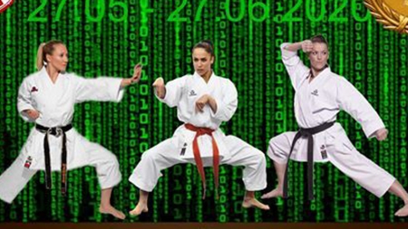 57 de medalii pentru dragonii băimăreni la freestyle kickboxing online