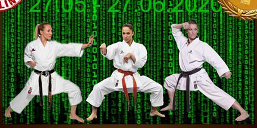 57 de medalii pentru dragonii băimăreni la freestyle kickboxing online