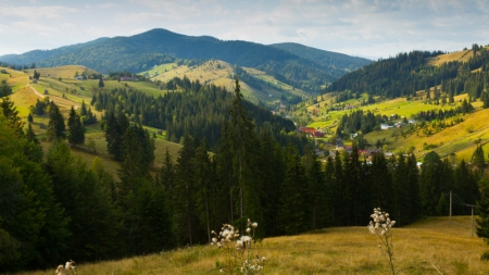 Vremea exactă în Maramureș, luni, 5 iulie