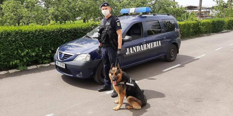 Sfaturile jandarmilor maramureșeni pentru acest weekend