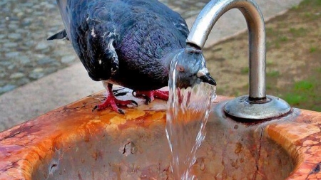 Intrăm în zodia arșiței: Cod galben de caniculă și disconfort termic, valabil și pentru regiunea Maramureș. Vezi anunțul meteorologilor, pentru zilele viitoare