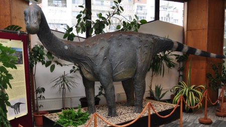 Expoziţia „Ultimii dinozauri din Transilvania” rămâne la Muzeul de Mineralogie Baia Mare până anul viitor