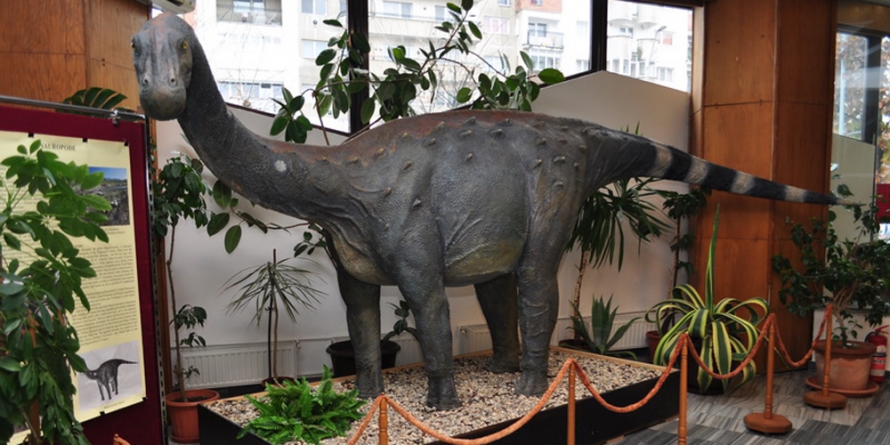 Expoziţia „Ultimii dinozauri din Transilvania” rămâne la Muzeul de Mineralogie Baia Mare până anul viitor