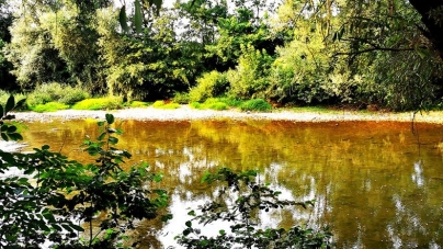 Paula Seling: „Lăpuș, râul copilăriei mele”; vezi cum își petrecea artista verile (FOTO)