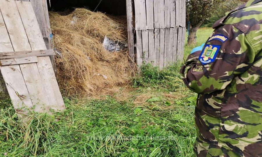 La marginea Maramureșului: 6.300 pachete cu țigări descoperite într-un șopron cu fân (VIDEO ȘI FOTO)