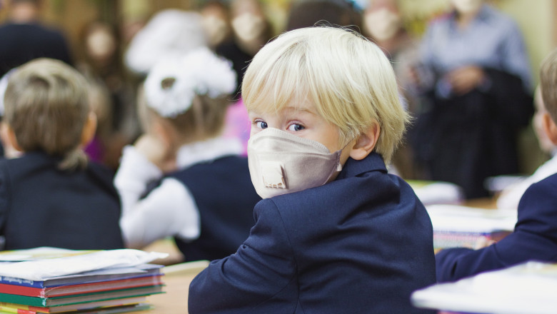 Cum se vor desfășura orele de clasă în condiții de pandemie. Anisie: Profesorii pot fi ajutaţi la lecții online de bibliotecari