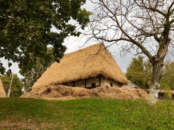 La Muzeul Satului: A fost restaurat acoperișul Șurii Buteasa, respectiv cel al Casei Preluca (GALERIE FOTO)