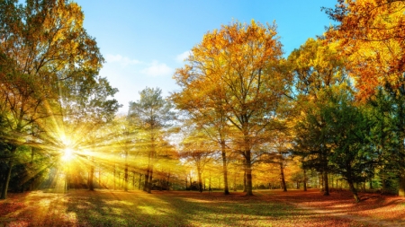 Vremea exactă în Maramureș, sâmbătă, 30 octombrie