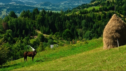 Meteo Maramureș: Vreme frumoasă în regiunea noastră, în viitorul interval. Va fi caracteristică datei din calendar, momentan. Vezi estimările pe două săptămâni