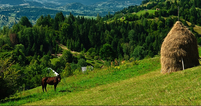 Meteo Maramureș: Vreme frumoasă în regiunea noastră, în viitorul interval. Va fi caracteristică datei din calendar, momentan. Vezi estimările pe două săptămâni