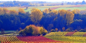 Fraude în Maramureș, anchetate de DNA: Fondurile europene, “borcanul cu miere” extrem de râvnit de “amatorii de ilegalități”