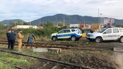 Actualizare: Rezultat anchetă: Cățelușa găsită cu leziuni pe calea ferată, la ieșirea din Baia Mare, a fost lovită de tren. Ce spun polițiștii (FOTO)