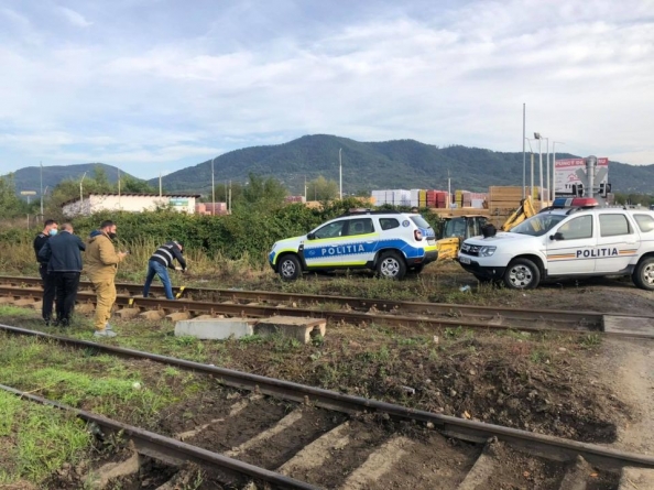 Actualizare: Rezultat anchetă: Cățelușa găsită cu leziuni pe calea ferată, la ieșirea din Baia Mare, a fost lovită de tren. Ce spun polițiștii (FOTO)