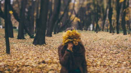 Vremea exactă în Maramureș, joi, 4 noiembrie