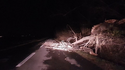 Efecte cod roșu nowcasting: Copaci căzuți în nord-vestul Maramureșului. Probleme cu alimentarea cu curent în două localități