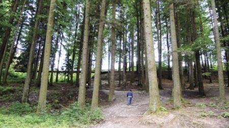 Recomandările Salvamont Maramureș pentru persoanele care pleacă în pădure sau pe munte