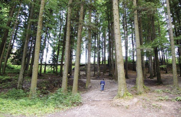 Recomandările Salvamont Maramureș pentru persoanele care pleacă în pădure sau pe munte