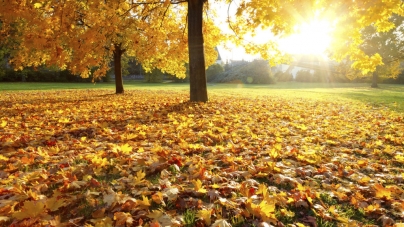 Meteo Maramureș: Alternanță între zile cu vreme frumoasă și zile ploioase, în perioada următoare. Vezi estimările pe două săptămâni