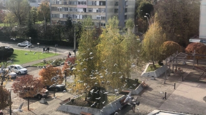 Oficial: Municipiul Baia Mare, în carantină zonală pentru 14 zile. Incidența este azi de 7,21 cazuri la mie. Lista restricțiilor și obligațiilor, respectiv modelul de declarație (DOCUMENT)