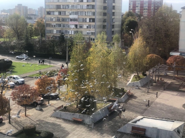 Oficial: Municipiul Baia Mare, în carantină zonală pentru 14 zile. Incidența este azi de 7,21 cazuri la mie. Lista restricțiilor și obligațiilor, respectiv modelul de declarație (DOCUMENT)